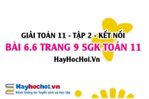 Bài 6.6 trang 9 Toán 11 tập 2 Kết nối tri thức